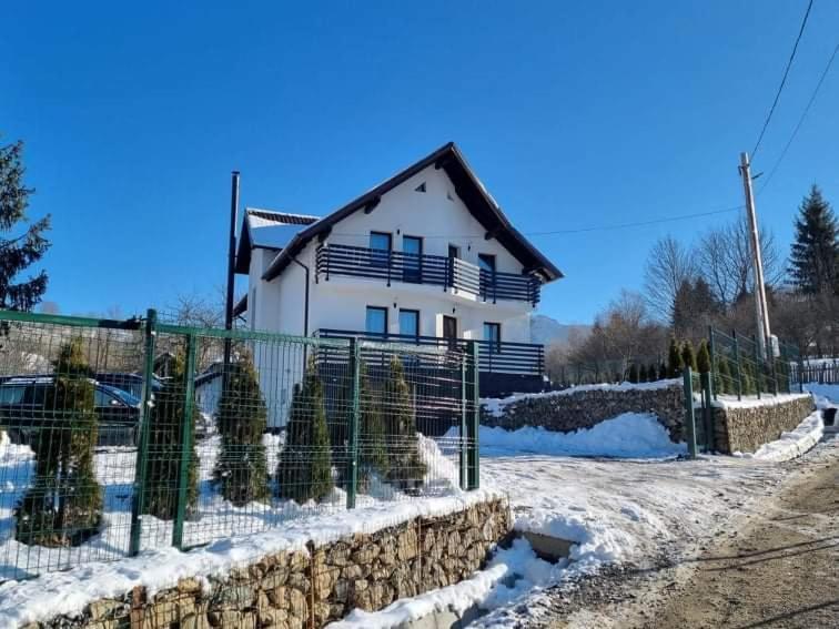 Transylvania House Borsa  Bagian luar foto